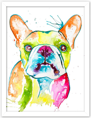 COLORFULL FRENCHIE