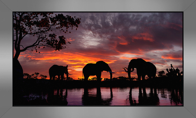 ELEPHANTS AT SUNSET