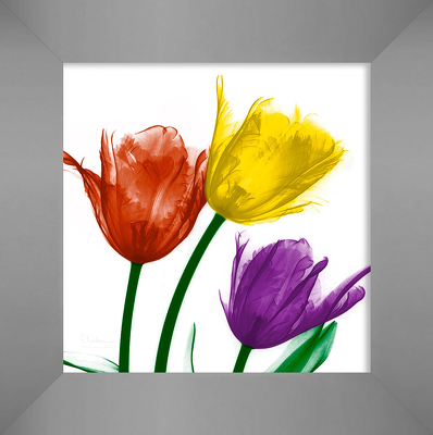 Shiny Jewel Tulips 2
