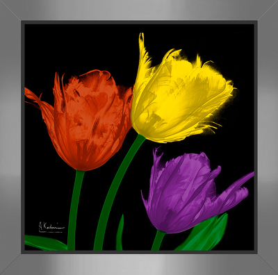 Shiny Jewel Tulips 4